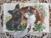 年代モノのポストカード（犬と猫）/ドイツ